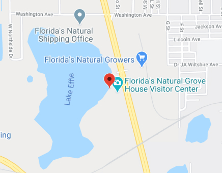 Teapot – Florida's Natural Grove Store